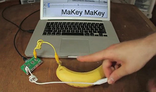 Капуста и кошки заменили клавиатуру Капуста и кошки заменили клавиатуру