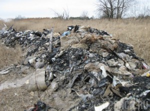 Свалка под Выгоничами сгубила два гектара земли