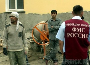 В сфере миграции выявили около 700 правонарушений