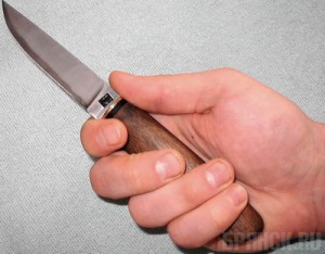 23-летний житель Брянска зарезал собственного брата