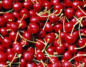 18 тонн подозрительной вишни вернули поставщику