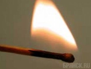 Отправят лечиться мужчину, спалившего свою семью