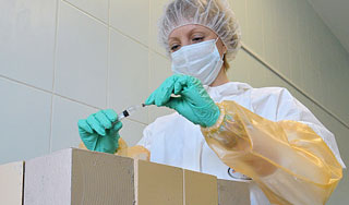 На теле убитого мальчика нет следов насилия На теле убитого мальчика нет следов насилия