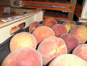 Тонны клубники и персиков вернули поставщикам