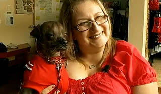 Названа самая уродливая собака Названа самая уродливая собака