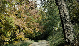 В Битцевском парке напали на отдыхающих В Битцевском парке напали на отдыхающих