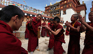 Монахи впали в кому после атаки пчел Монахи впали в кому после атаки пчел