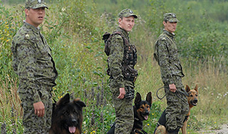 В лесу под Костромой пропал мальчик В лесу под Костромой пропал мальчик