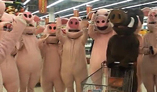 Акция "хрюш" переросла в драку с кавказцами Акция "хрюш" переросла в драку с кавказцами