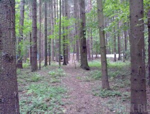 Заблудившихся в лесу людей искали пять часов