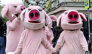 В Петербурге задержали обидчиков "хрюш" В Петербурге задержали обидчиков "хрюш"