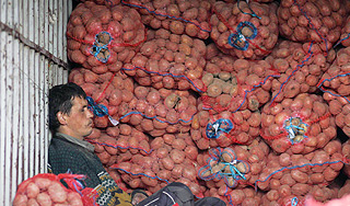 Картошка убила троих мужчин в Кузбассе Картошка убила троих мужчин в Кузбассе