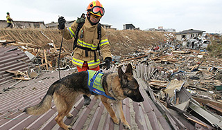 Стихия ударила по Японии дважды Стихия ударила по Японии дважды
