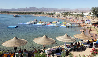 Тридцать турфирм могут лишиться лицензий Тридцать турфирм могут лишиться лицензий