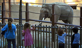 В зоопарке Петербурга пропала девочка В зоопарке Петербурга пропала девочка