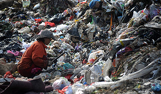 Подмосковье избавят от незаконных помоек Подмосковье избавят от незаконных помоек