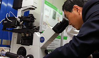 Корейцы нашли лекарство от рака Корейцы нашли лекарство от рака