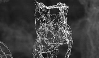 Создан самый легкий материал в мире Создан самый легкий материал в мире