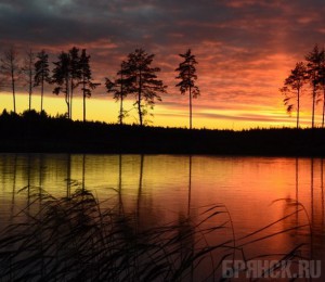 Фотохудожник Шилин покажет красоту брянской природы