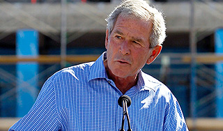 Жука назвали в честь Джорджа Буша Жука назвали в честь Джорджа Буша