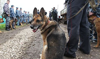Казаки ищут пропавшую в Пятигорске девочку Казаки ищут пропавшую в Пятигорске девочку