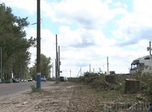 Более 100 деревьев мешали виду на торговый центр