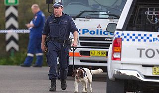 В Австралии изъяли наркотиков на $500 млн В Австралии изъяли наркотиков на $500 млн