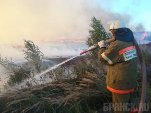 В Брянской области введут противопожарный режим