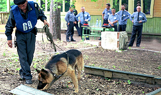 Под Москвой пропал преподаватель Гарварда Под Москвой пропал преподаватель Гарварда