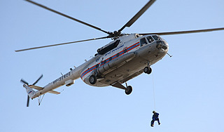 Туристы выложили SOS березами Туристы выложили SOS березами