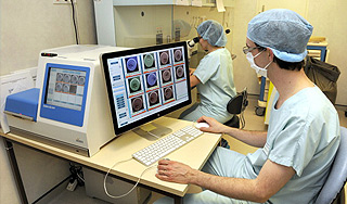 Программа будет опознавать и лечить болезни Программа будет опознавать и лечить болезни