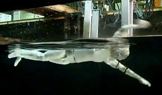 Японский робот умеет плавать баттерфляем Японский робот умеет плавать баттерфляем