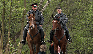 Пропавшую во Владимире школьницу убили Пропавшую во Владимире школьницу убили
