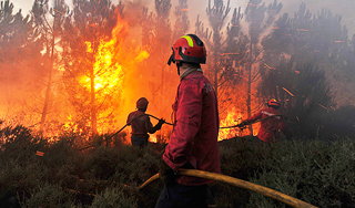Борцы с пожарами в Сибири получат подмогу Борцы с пожарами в Сибири получат подмогу