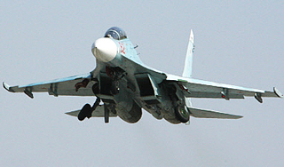 Су-27 аварийно сел в Новосибирске Су-27 аварийно сел в Новосибирске