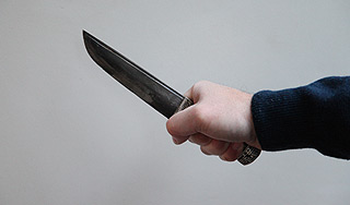 Под Петербургом девушку зарезали в лифте Под Петербургом девушку зарезали в лифте