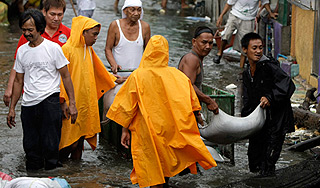 От тайфуна спасли два миллиона китайцев От тайфуна спасли два миллиона китайцев