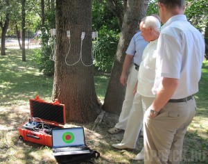 Прибор для обследования деревьев прошел испытания