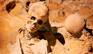 В Африке нашли нового предка человека В Африке нашли нового предка человека