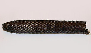 Пентагон пошлет в разведку робота-червяка Пентагон пошлет в разведку робота-червяка