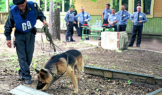 В Екатеринбурге ищут 13-летнюю девочку В Екатеринбурге ищут 13-летнюю девочку