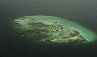 В океане нашли плавучий остров из пемзы В океане нашли плавучий остров из пемзы