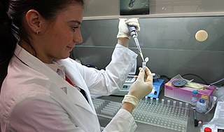 Ученые лишили морфин свойств наркотика Ученые лишили морфин свойств наркотика