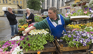 В Петербурге сожгли зараженные цветы В Петербурге сожгли зараженные цветы