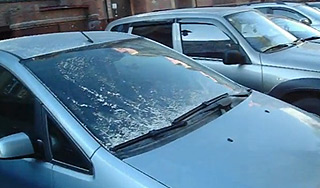 В Омске выпал "стиральный порошок" В Омске выпал "стиральный порошок"