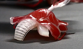 Надувного робота научили маскировке Надувного робота научили маскировке