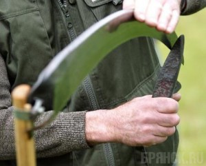 В Брянске местного жителя зарезали косой