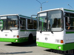 На «Свенскую ярмарку» пустят дополнительный транспорт