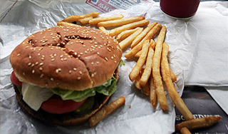 Фастфуд делает людей тупее Фастфуд делает людей тупее