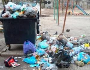 В Бежице проигнорировали требование убрать мусор